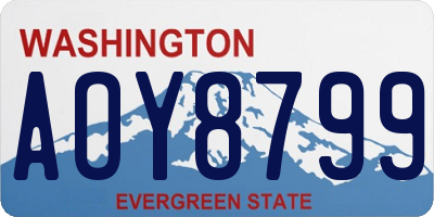 WA license plate AOY8799