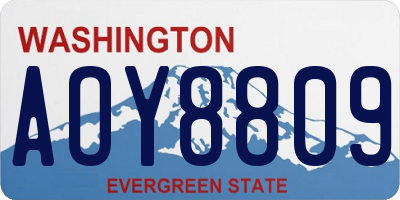 WA license plate AOY8809