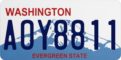WA license plate AOY8811