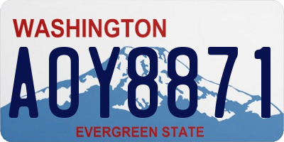 WA license plate AOY8871