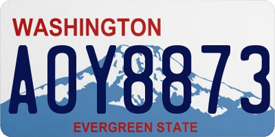 WA license plate AOY8873