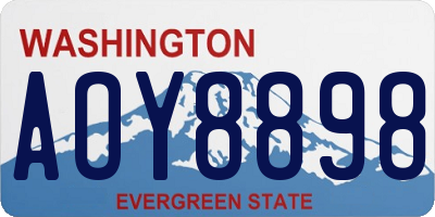 WA license plate AOY8898