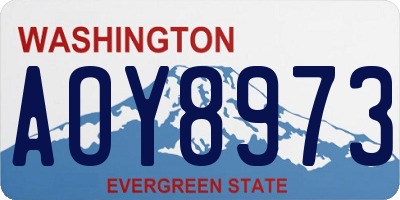 WA license plate AOY8973