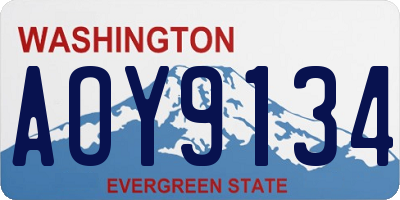 WA license plate AOY9134