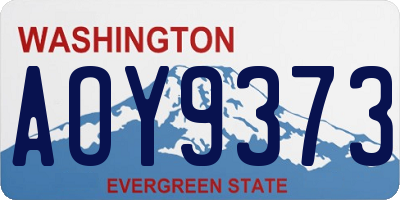WA license plate AOY9373