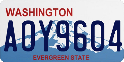 WA license plate AOY9604