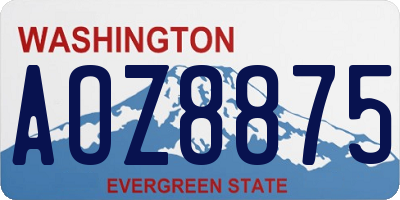WA license plate AOZ8875