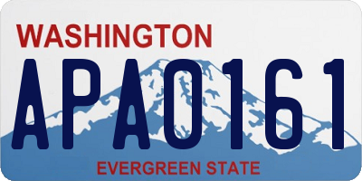 WA license plate APA0161