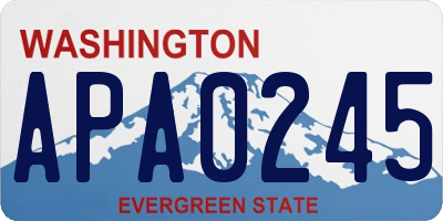 WA license plate APA0245