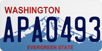 WA license plate APA0493