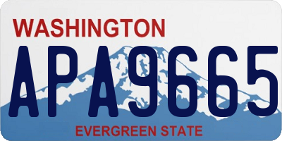 WA license plate APA9665