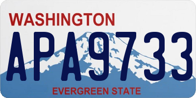 WA license plate APA9733