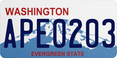 WA license plate APE0203