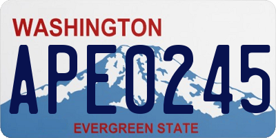 WA license plate APE0245
