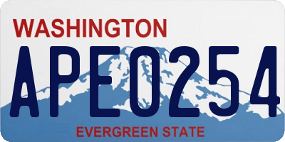 WA license plate APE0254