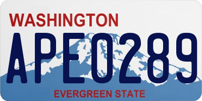 WA license plate APE0289