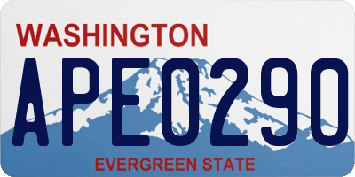 WA license plate APE0290