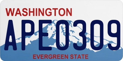 WA license plate APE0309