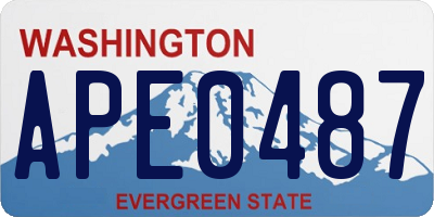 WA license plate APE0487