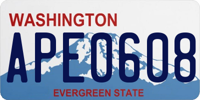 WA license plate APE0608