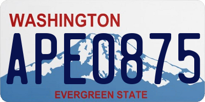 WA license plate APE0875