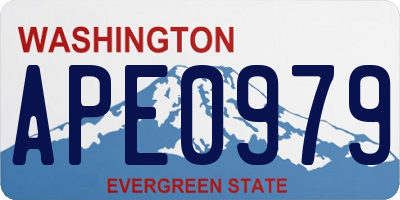 WA license plate APE0979