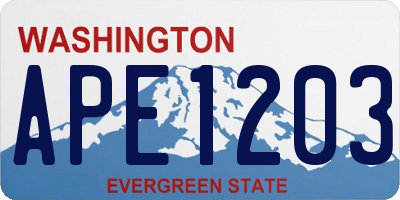 WA license plate APE1203
