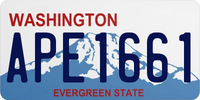 WA license plate APE1661