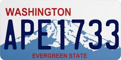 WA license plate APE1733