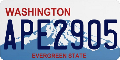 WA license plate APE2905