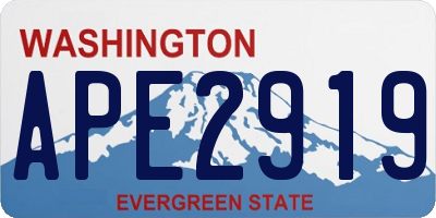 WA license plate APE2919