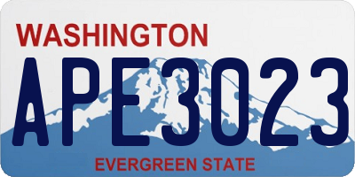 WA license plate APE3023