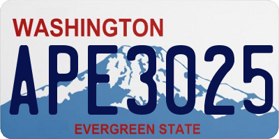 WA license plate APE3025