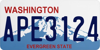 WA license plate APE3124