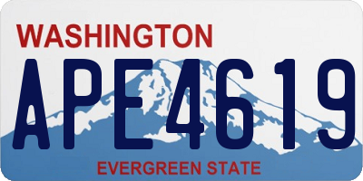 WA license plate APE4619