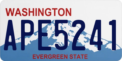 WA license plate APE5241