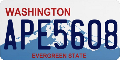 WA license plate APE5608
