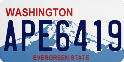 WA license plate APE6419