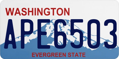 WA license plate APE6503