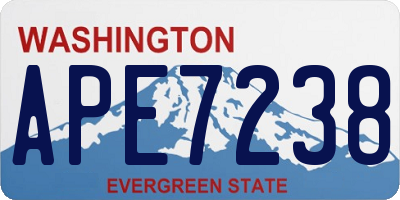 WA license plate APE7238