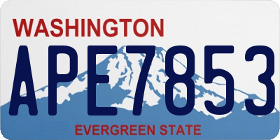 WA license plate APE7853
