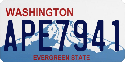 WA license plate APE7941
