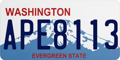 WA license plate APE8113