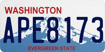 WA license plate APE8173