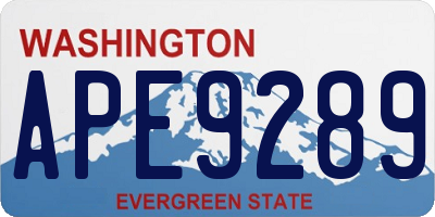 WA license plate APE9289