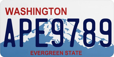 WA license plate APE9789