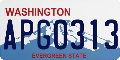WA license plate APG0313