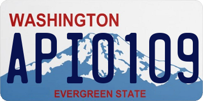 WA license plate API0109
