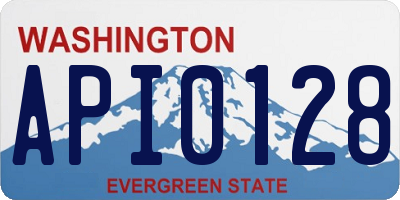 WA license plate API0128