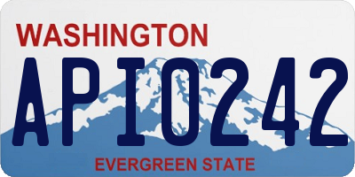 WA license plate API0242